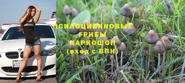 молекула духа Волосово